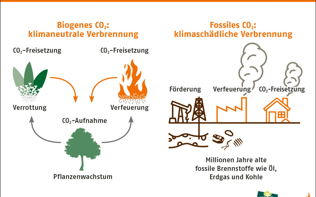 Biogen anstatt Fossil